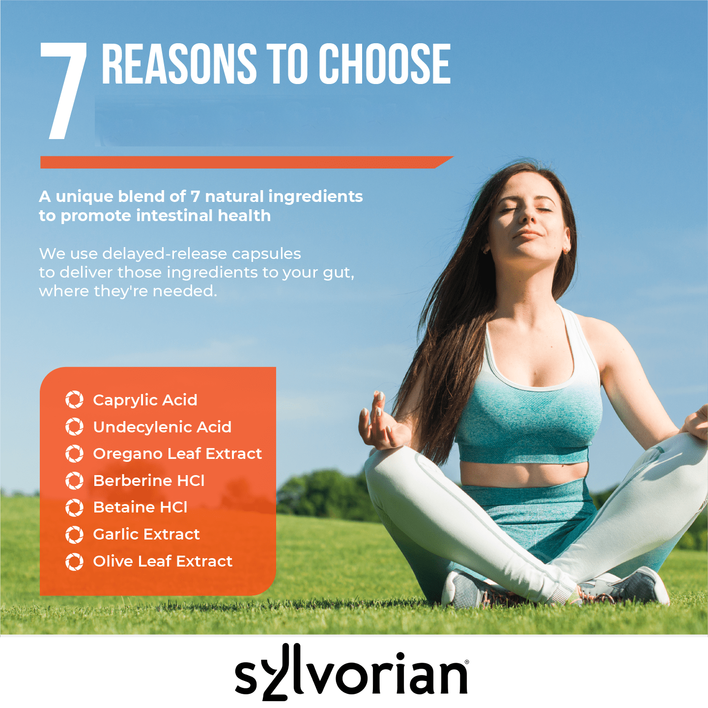 Sylvorian CandAssist