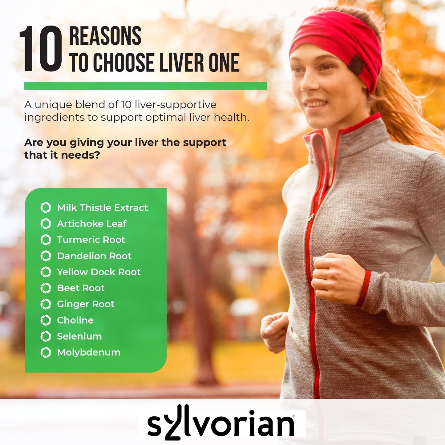 Sylvorian Liver One