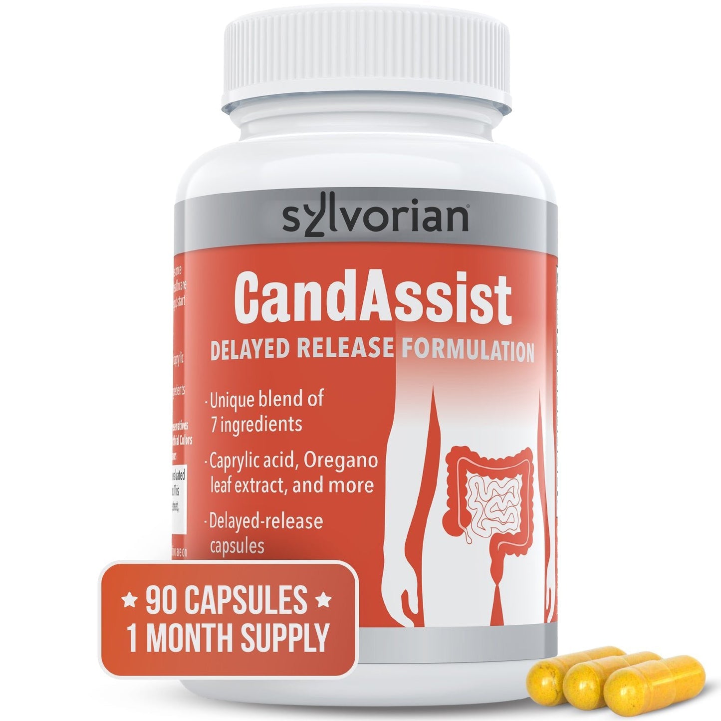 Sylvorian CandAssist ™️