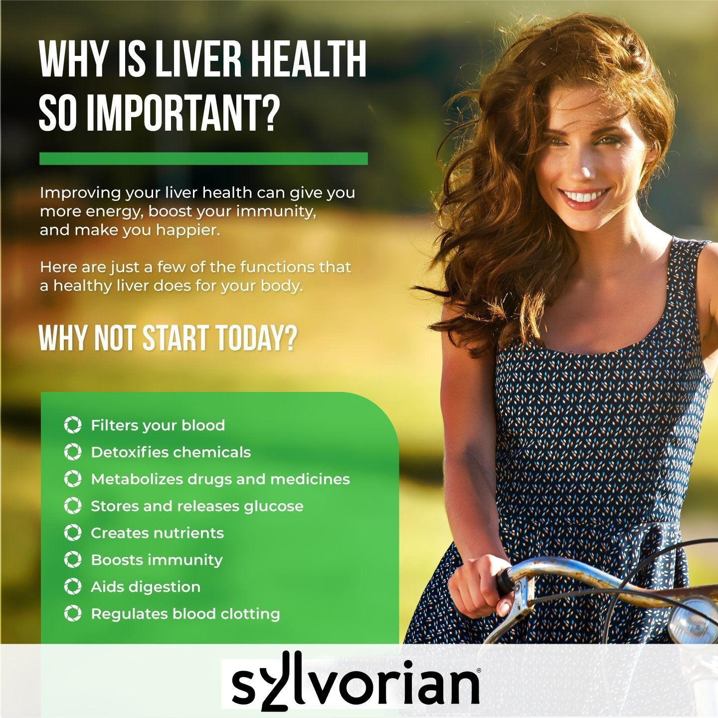 Sylvorian Liver One