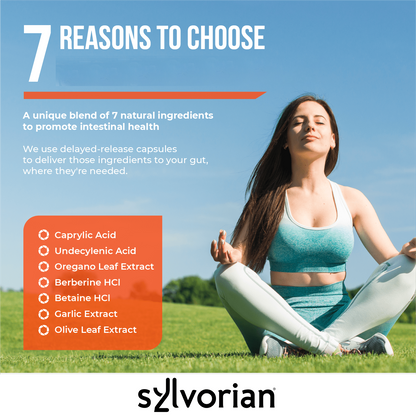 Sylvorian CandAssist