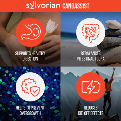 Sylvorian CandAssist ™️